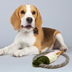 Eddie Bauer 10-in Rope Toy with Fish Plush Dog Toy, Green/White slide 2 of 4