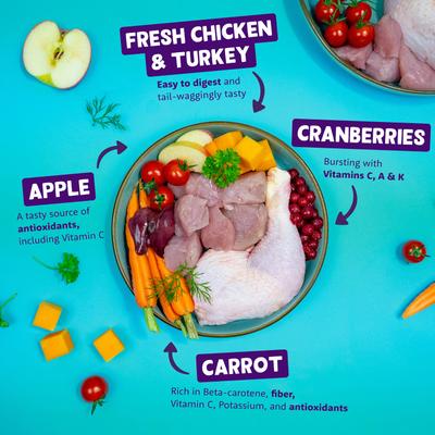 Show full view: Edgard & Cooper Grain-Free Chicken & Turkey Flavored Wet Dog Food, 10.5-oz cup, case of 18 slide 3 of 10