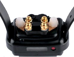 Educator By E-Collar Technologies Educator Comfort Pad Short Points, Short Hair slide 2 of 4