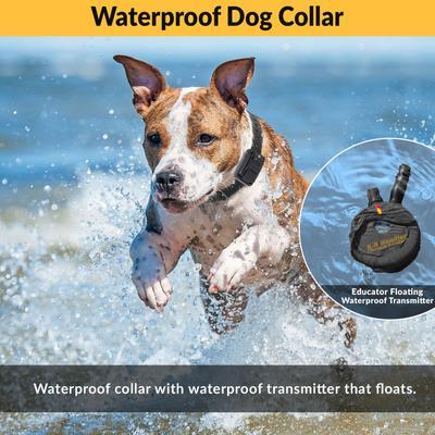 Show full view: Educator By E-Collar Technologies Educator K9 Handler 3/4 Mile Waterproof Dog Training Collar, 1 collar slide 5 of 9