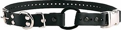 Educator By E-Collar Technologies Educator Quick Snap Bungee Dog Collar, Black, 1-in
