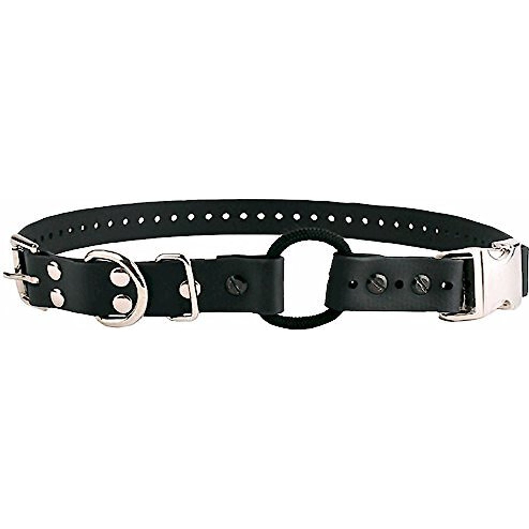 Educator By E-Collar Technologies Educator Quick Snap Bungee Dog Collar, Black, 1-in