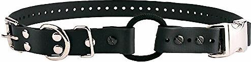 Show full view: Educator By E-Collar Technologies Educator Quick Snap Bungee Dog Collar, Black, 1-in slide 1 of 8