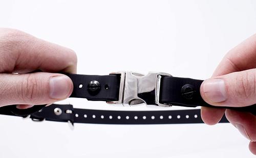 Show full view: Educator By E-Collar Technologies Educator Quick Snap Bungee Dog Collar, Black, 1-in slide 5 of 8