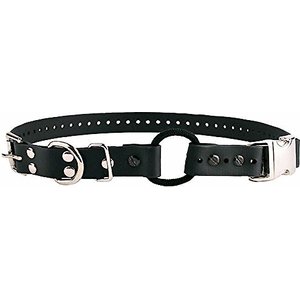 Educator By E-Collar Technologies Educator Quick Snap Bungee Dog Collar, Black, 3/4-in