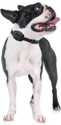 Show full view: Educator By E-Collar Technologies Educator Winged Soft Comfort Pad Short Points, Short Hair slide 3 of 7