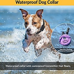 Educator By E-Collar Technologies Micro Educator 1/3 Mile Range Waterproof Dog Training Collar, 1 collar slide 2 of 7