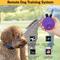 Show in main carousel: Educator By E-Collar Technologies Micro Educator 1/3 Mile Range Waterproof Dog Training Collar, 2 collars slide 4 of 11