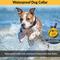 Show in main carousel: Educator By E-Collar Technologies Mini 1/2 Mile E-Collar Waterproof Dog Training Collar, 2 collars slide 6 of 8