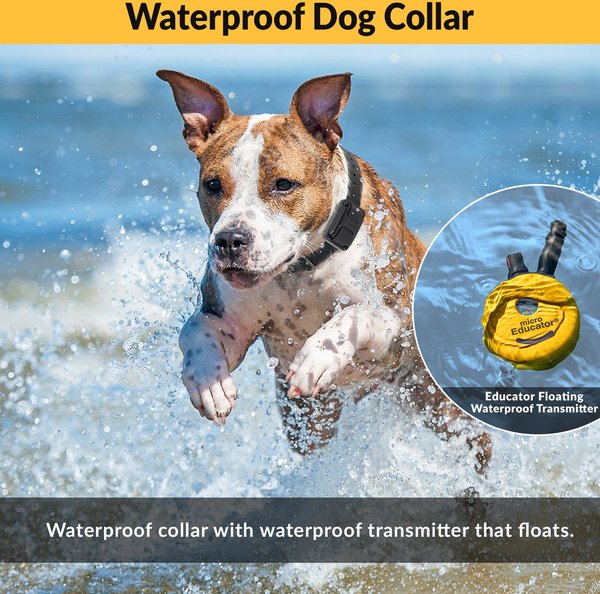 Educator By E-Collar Technologies Mini 1/2 Mile Range Remote Waterproof Dog Training Collar