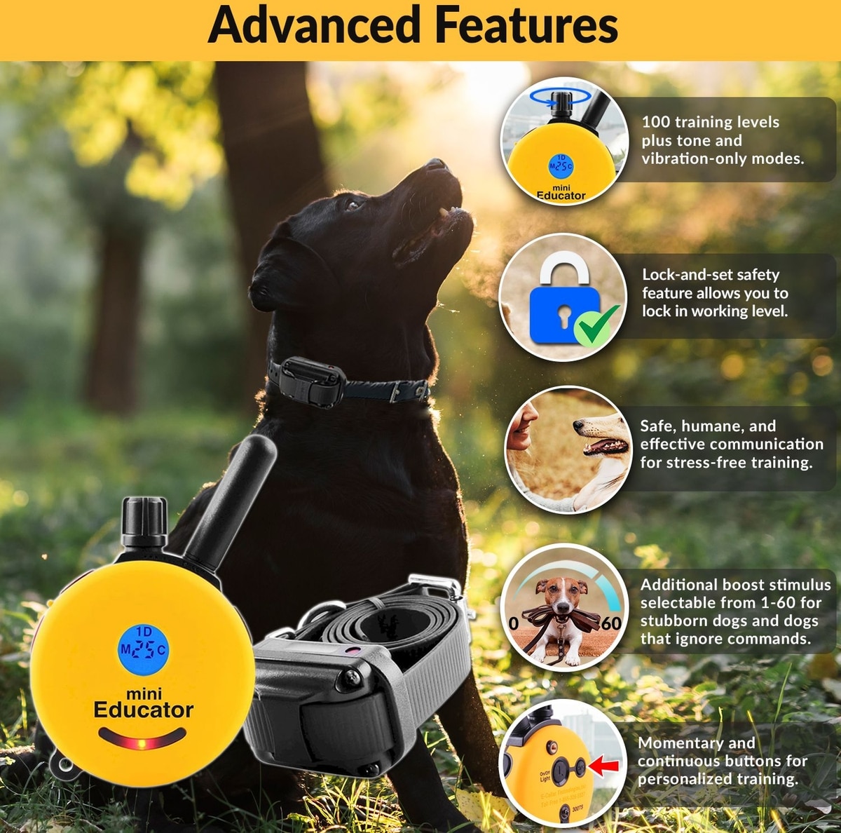 EDUCATOR By E-Collar Technologies Mini 1/2 Mile Range Remote