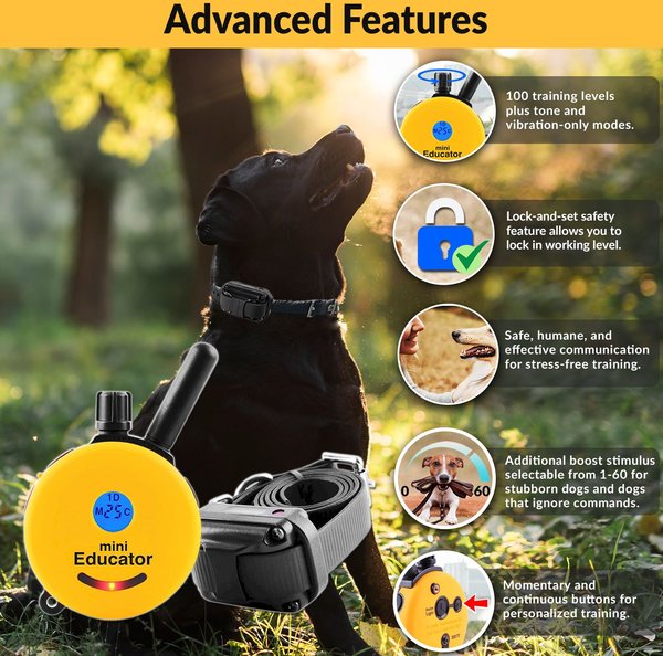 Educator By E-Collar Technologies Mini 1/2 Mile Range Remote Waterproof Dog Training Collar