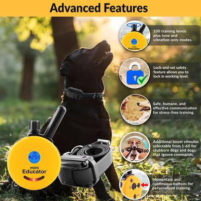 Show full view: Educator By E-Collar Technologies Mini 1/2 Mile Range Remote Waterproof Dog Training Collar, 1 collar slide 2 of 9