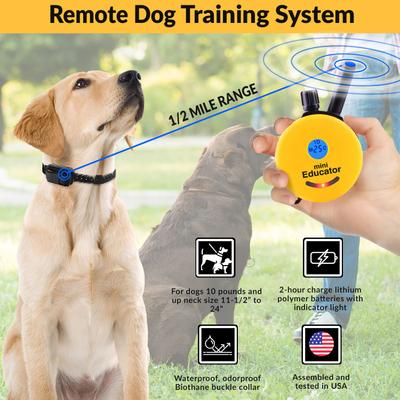 Show full view: Educator By E-Collar Technologies Mini 1/2 Mile Range Remote Waterproof Dog Training Collar, 1 collar slide 3 of 9