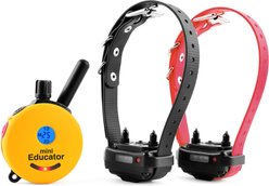 Educator By E-Collar Technologies Mini 1/2 Mile Range Remote Waterproof Dog Training Collar, 2 collars