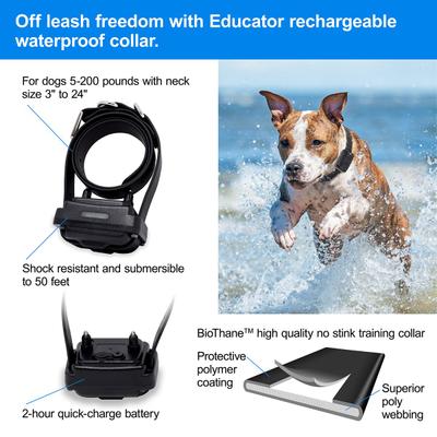 Show full view: Educator By E-Collar Technologies The Boss 1 Mile Range Collar + FC-100 Finger Clicker Dog Training Clicker slide 9 of 9