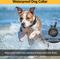 Show in main carousel: Educator By E-Collar Technologies The Boss 1 Mile Range Waterproof Dog Training Collar, 1 collar slide 6 of 12
