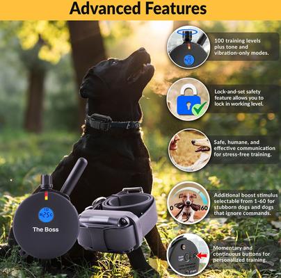 Show full view: Educator By E-Collar Technologies The Boss 1 Mile Range Waterproof Dog Training Collar, 1 collar slide 2 of 12