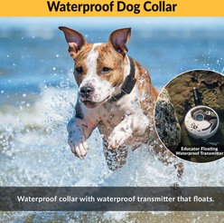 Educator By E-Collar Technologies Zen 1/2 Mile Range Remote Dog Training Collar, 1 collar slide 2 of 8