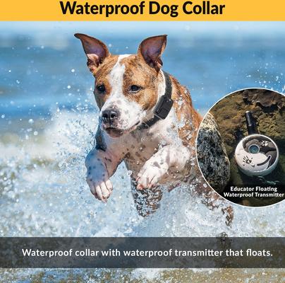 Show full view: Educator By E-Collar Technologies Zen 1/2 Mile Range Remote Dog Training Collar, 1 collar slide 5 of 11