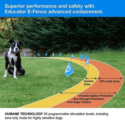 Show full view: Educator Extra Collar Receiver E-Fence Underground Containment Rechargeable Waterproof System Dog Collar, Black slide 5 of 10
