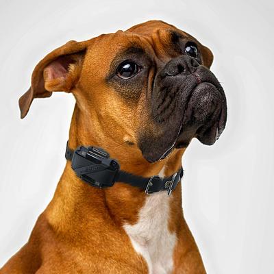 Show full view: Educator Extra Collar Receiver E-Fence Underground Containment Rechargeable Waterproof System Dog Collar, Black slide 8 of 10