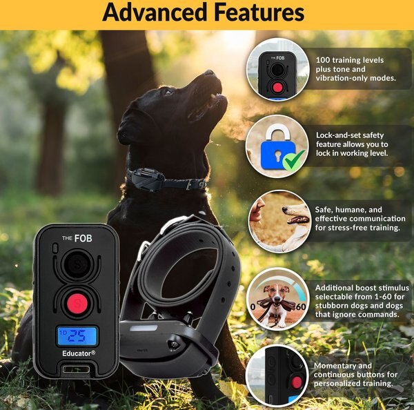 Educator FE-560 FOB Dog Remote Training System, Black