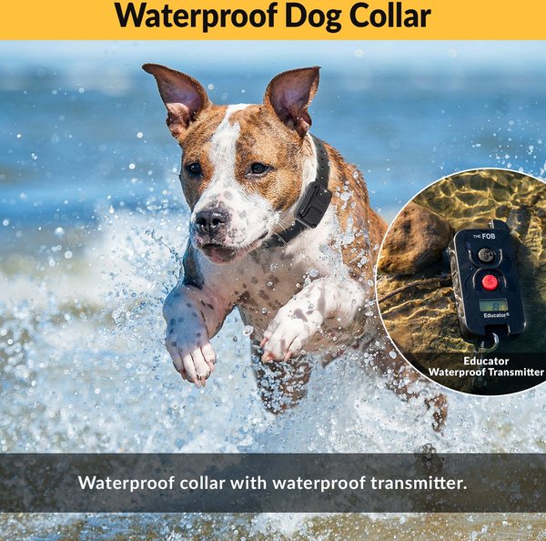 Educator FE-560B with Finger Button Dog Remote Training System, Black