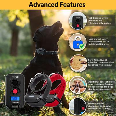 Show full view: Educator FE-562 FOB 2 Dog Remote Training System, Black slide 3 of 8