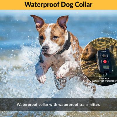 Show full view: Educator FE-562 FOB 2 Dog Remote Training System, Black slide 6 of 8