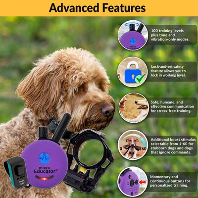 Show full view: Educator ME-300-DMBC E-Collar Mini Double Bungee Dog Training Collar Set, Purple, X-Small slide 3 of 8