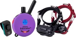 Educator ME-302-DMBC E-Collar Mini Double Bungee Dog Training Collar Set, Purple, X-Small