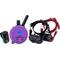 Show in main carousel: Educator ME-302-DMBC E-Collar Mini Double Bungee Dog Training Collar Set, Purple, X-Small slide 1 of 7