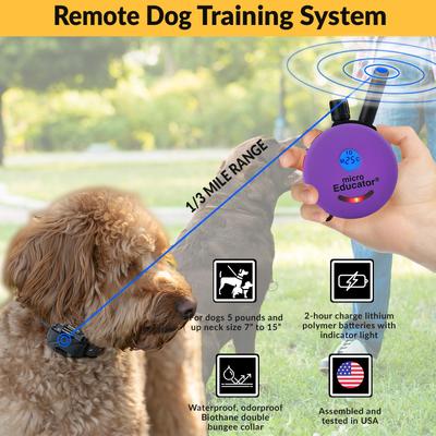 Show full view: Educator ME-302-DMBC E-Collar Mini Double Bungee Dog Training Collar Set, Purple, X-Small slide 3 of 7