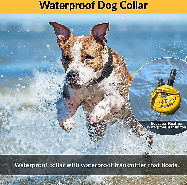 Mini Educator 1/2 Mile Waterproof Remote Training Dog Collar with Premium Finger Clicker Trainer, Small/Medium: 5 to 22.5-in neck, 3/4-in wide