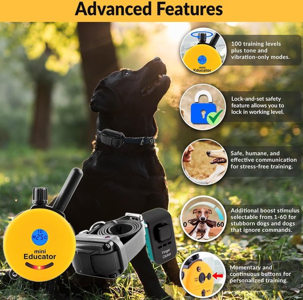Mini Educator 1/2 Mile Waterproof Remote Training Dog Collar with Premium Finger Clicker Trainer, Small/Medium: 5 to 22.5-in neck, 3/4-in wide