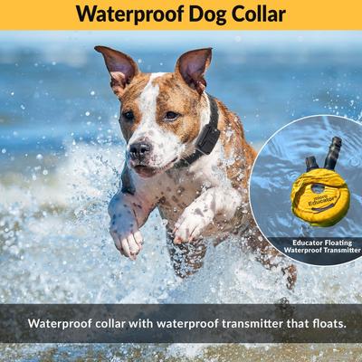 Show full view: Educator Mini Educator 1/2 Mile Waterproof Remote Training Dog Collar with Premium Finger Clicker Trainer, Small/Medium: 5 to 22.5-in neck, 3/4-in wide, Green slide 5 of 9