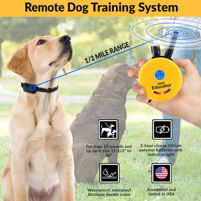 Show full view: Educator Mini Educator 1/2 Mile Waterproof Remote Training Dog Collar with Premium Finger Clicker Trainer, Small/Medium: 5 to 22.5-in neck, 3/4-in wide, Green slide 3 of 9