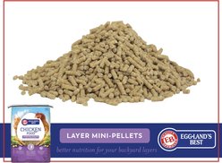 Eggland's Best All Natural Layer Mini 17% Protein Pellets Chicken Feed, 20-lb bag slide 2 of 5