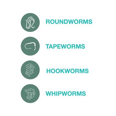 Show full view: Elanco Quad Dewormer for Hookworms, Roundworms, Tapeworms & Whipworms for Medium Breed Dogs, 2 count slide 6 of 11