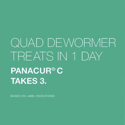 Show full view: Elanco Quad Dewormer for Hookworms, Roundworms, Tapeworms & Whipworms for Medium Breed Dogs, 2 count slide 7 of 11