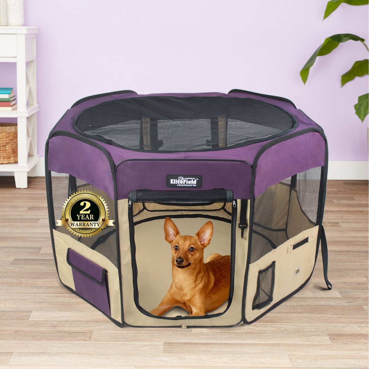 2-Door Soft-Sided Dog & Cat Playpen, Purple & Beige, 36-in, Elitefield