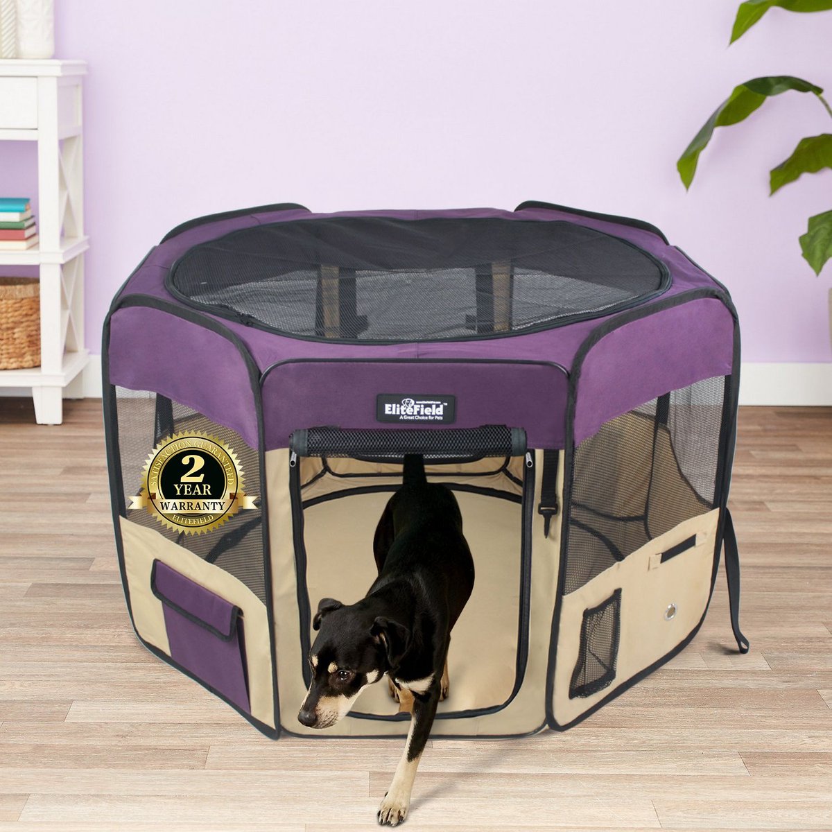 2-Door Soft-Sided Dog & Cat Playpen, Purple & Beige, 48-in, Elitefield