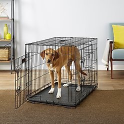 EliteField 3-Door Collapsible Wire Dog Crate with Divider, 36 inch