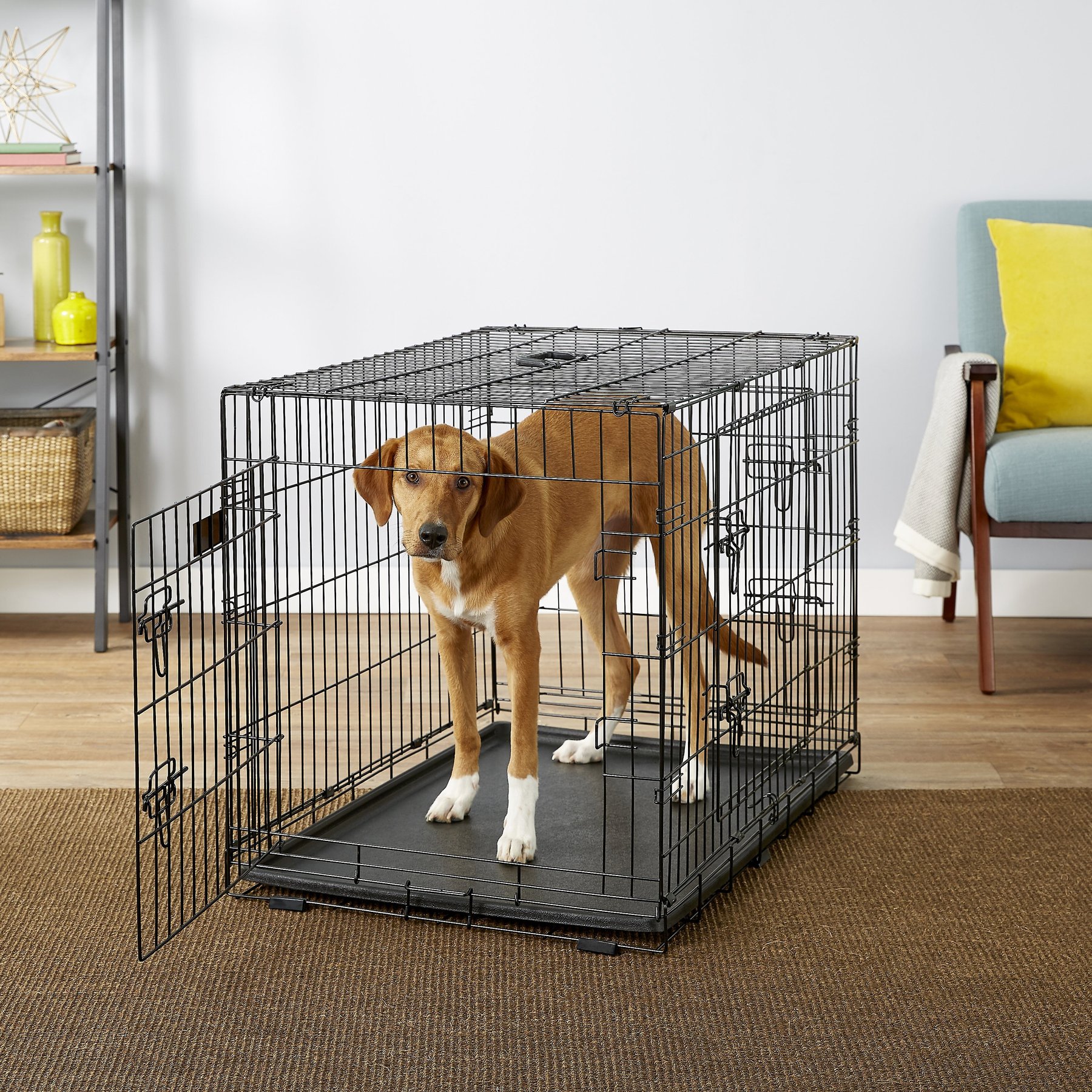 EliteField 3-Door Collapsible Wire Dog Crate with Divider, 36 inch