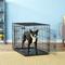 Show in main carousel: EliteField 3-Door Collapsible Wire Dog Crate with Divider, 42 inch slide 1 of 10