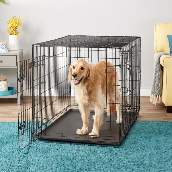 Show full view: EliteField 3-Door Collapsible Wire Dog Crate with Divider, 48 inch slide 1 of 10