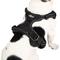 Show in main carousel: EliteField Padded Reflective No Pull Dog Harness, Black, Large: 21 to 36-in chest slide 4 of 7