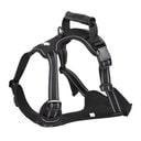 EliteField Padded Reflective No Pull Dog Harness, Black, Medium: 18 to 33-in chest