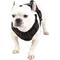 Show in main carousel: EliteField Padded Reflective No Pull Dog Harness, Black, Medium: 18 to 33-in chest slide 3 of 7